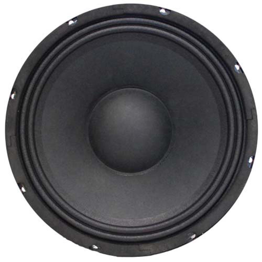 10 inch guitar deals speaker